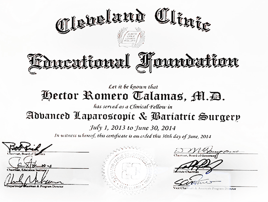 Chihuahua bariatric doctor certificate