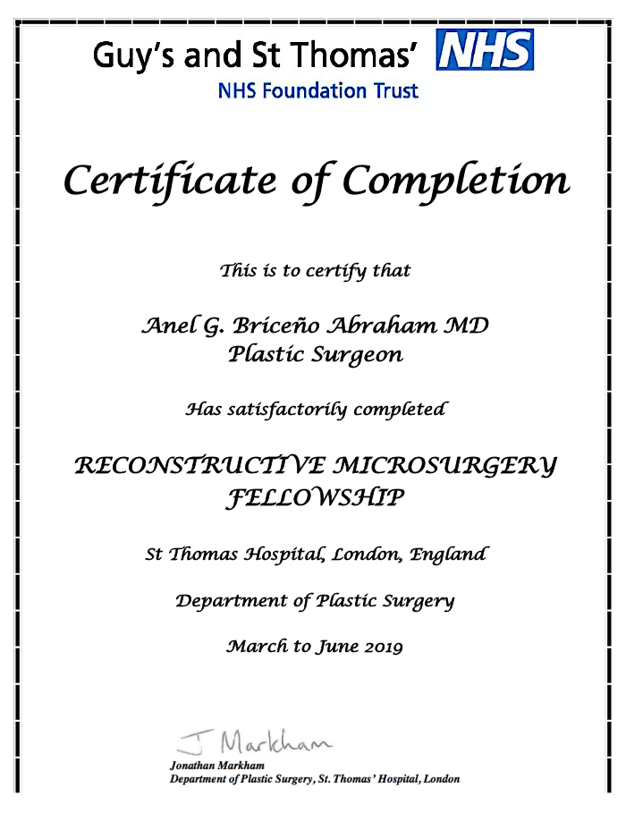 Merida plastic surgeon doctor certificate