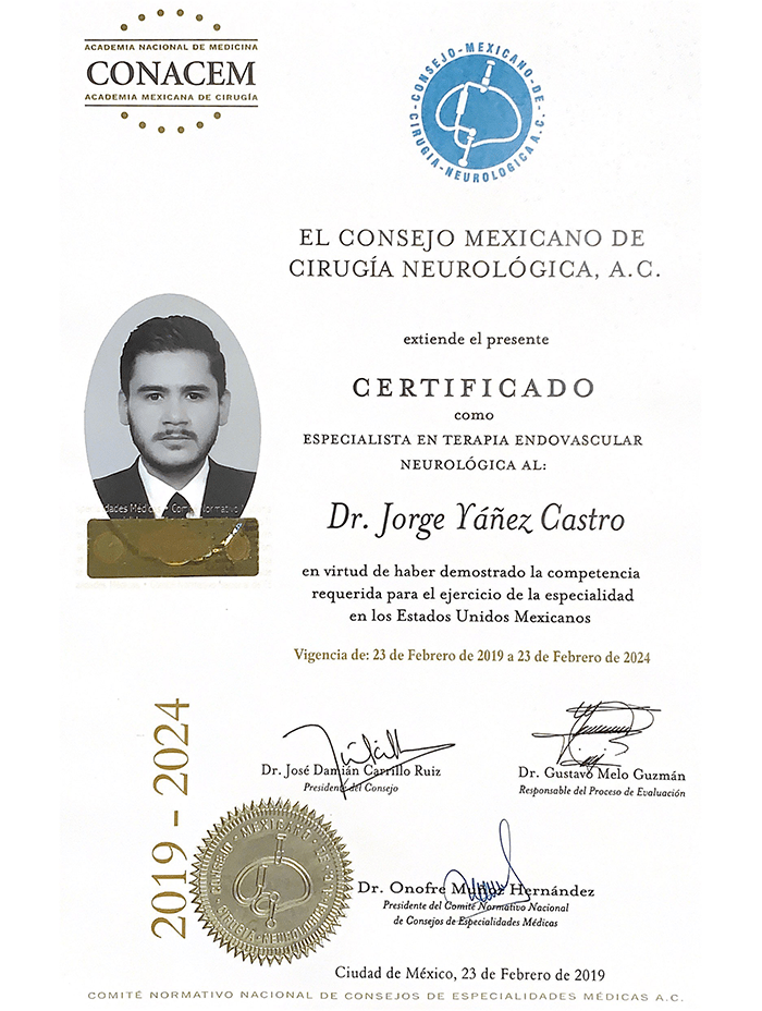 Vallarta Neurosurgeon certificate